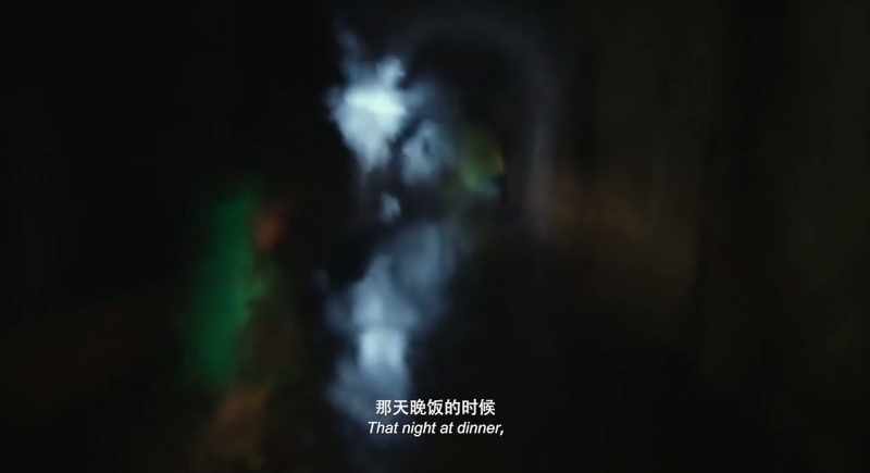 That night at dinner