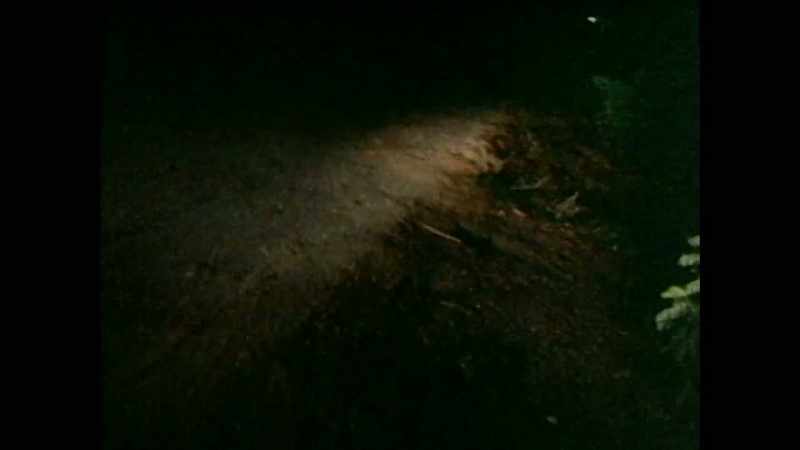 That night they went to bury the bodies