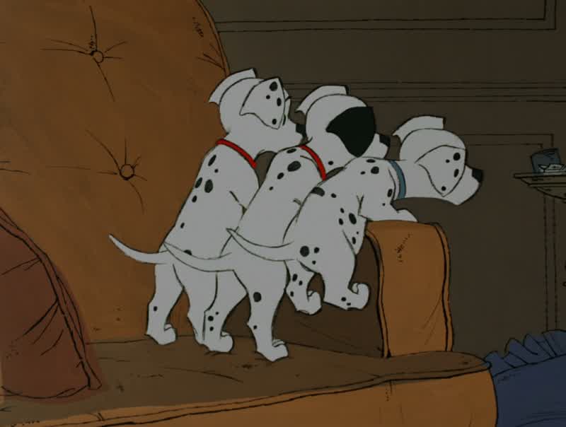 Look at him run, the old coward