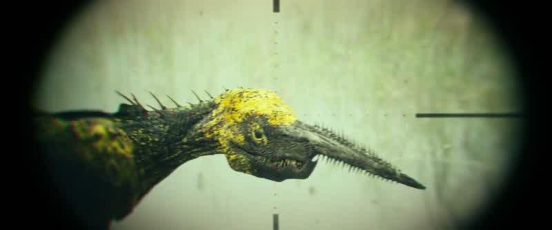 That is one ugly ass bird