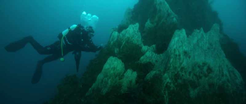 That place could have been a hydrothermal vent