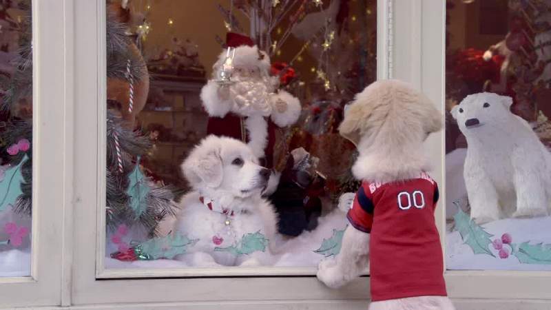 That polar bear cub sure looks realistic