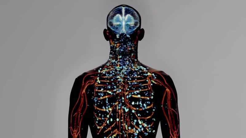 That rush comes as oxytocin spikes