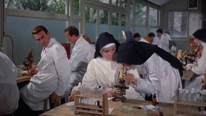 That is the bacille de Koch that causes tuberculosis