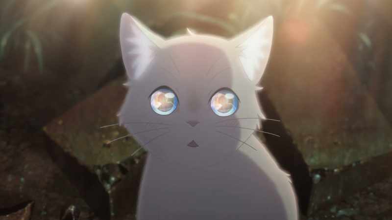 That was the day I met Taro