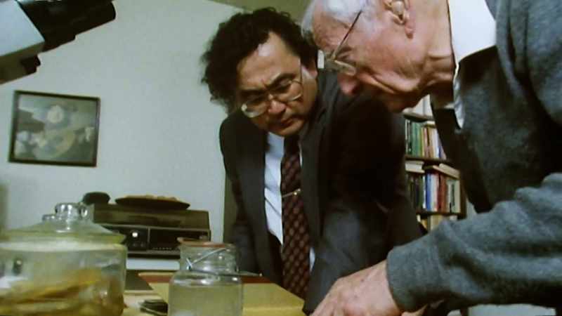 That the einstein estate