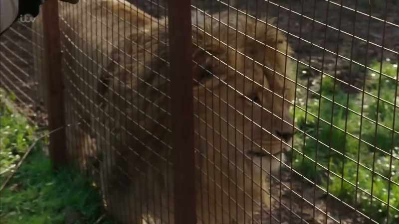 'That their pets DO benefit