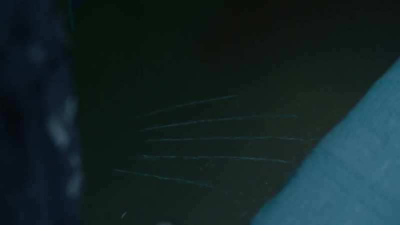 that there are some deep, scratched, gouged marks on the floor