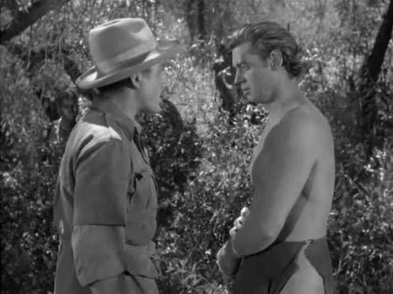 That was very generous of you, Tarzan