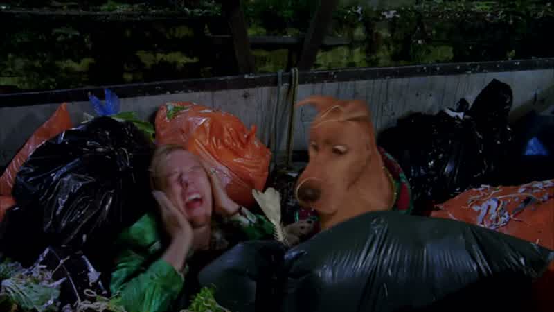 That wasn't so bad, scoob