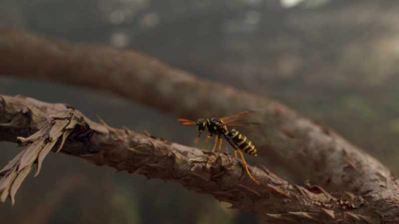 That wasp is out hunting for food for her young