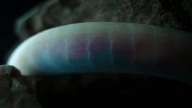 That weird, fleshy skin