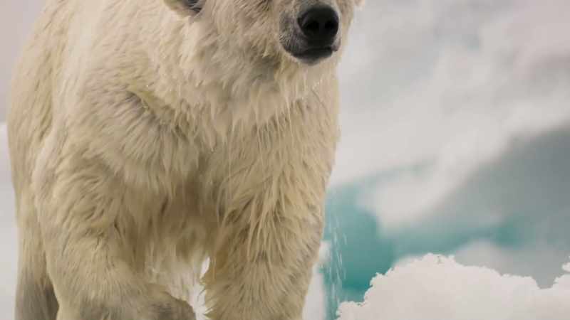 That will make it harder for mother polar bears