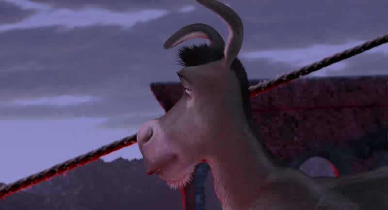 That will do Donkey that will do