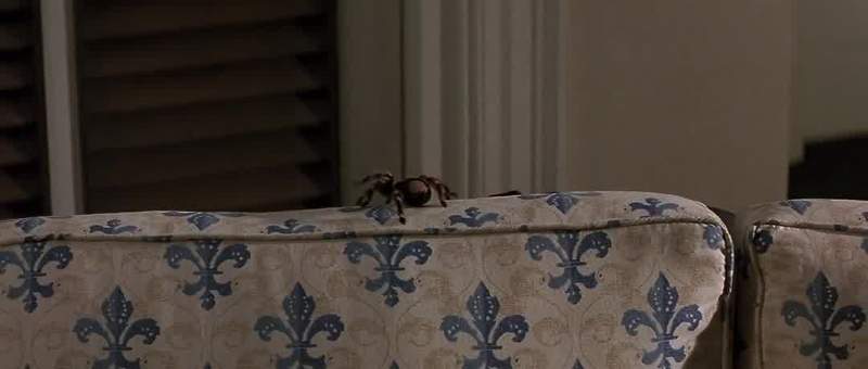 That's a biggest goddamn spider I ever saw