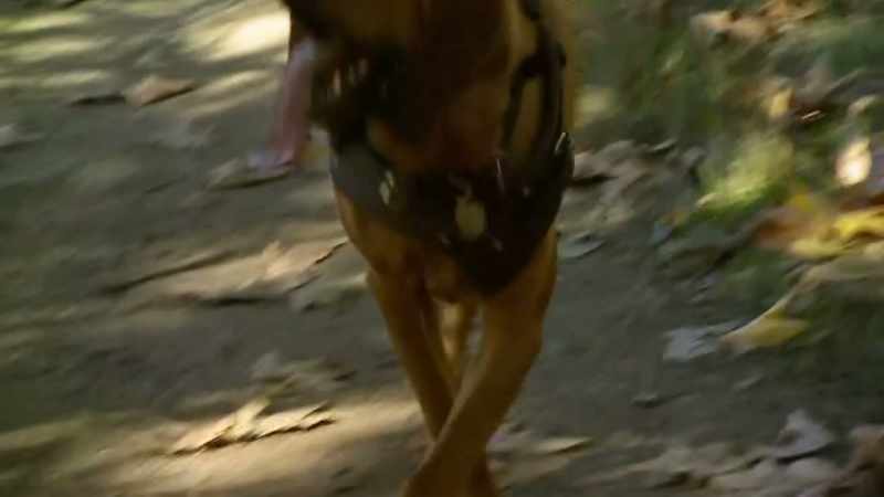 THAT'S A GOOD BOY. WHERE IS HE? GOOD BOY!