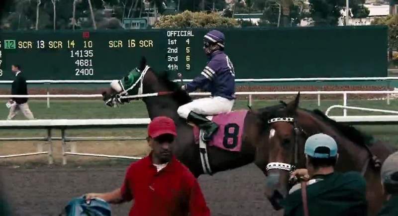 That's a great horse