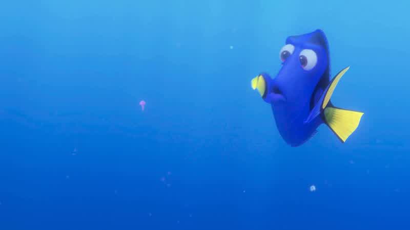 That's a jellyfish!