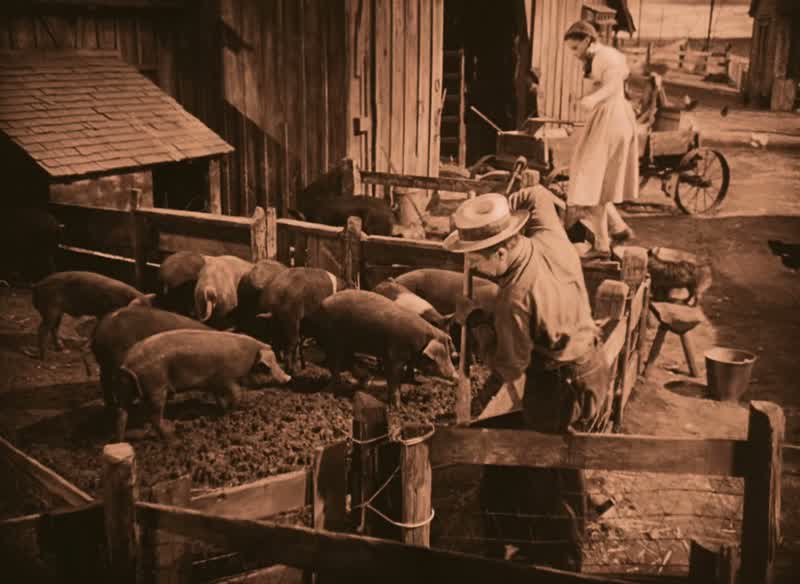 Listen kidare you gonna let that old Gulch heifer try and buffalo youShe ain't nothing to be afraid of Have a little courageI'm not afraid of herNext time she squawks walk up to her and spit in her