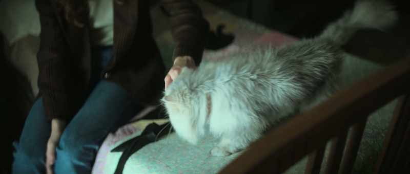 That's Apollo... who's also a gift