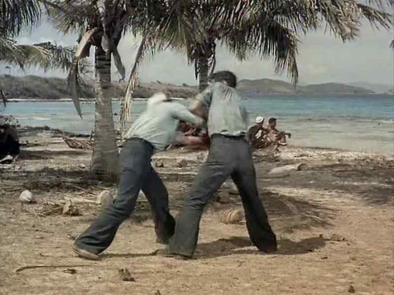 That's my coconut. - Your coconut? It's mine
