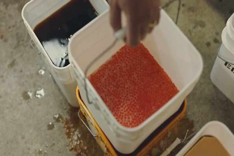 That's effectively artificial spawning at a hatchery