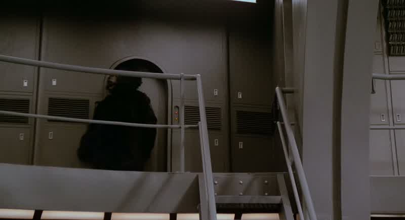 HEY HEY HEY THAT'S MY ESCAPE POD WHO ARE YOUI'M THE BEARDED LADYWHAT ARE YOU ONE OF THE FREAKSCOME BACK THAT'S MY PODNOCOME BACK YOU FAT BEARDED BITCH