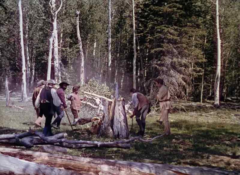 That's gonna be good firewood