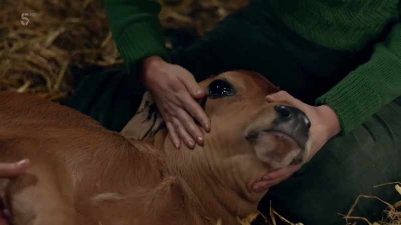 That's good. Keep hold of her neck, please?