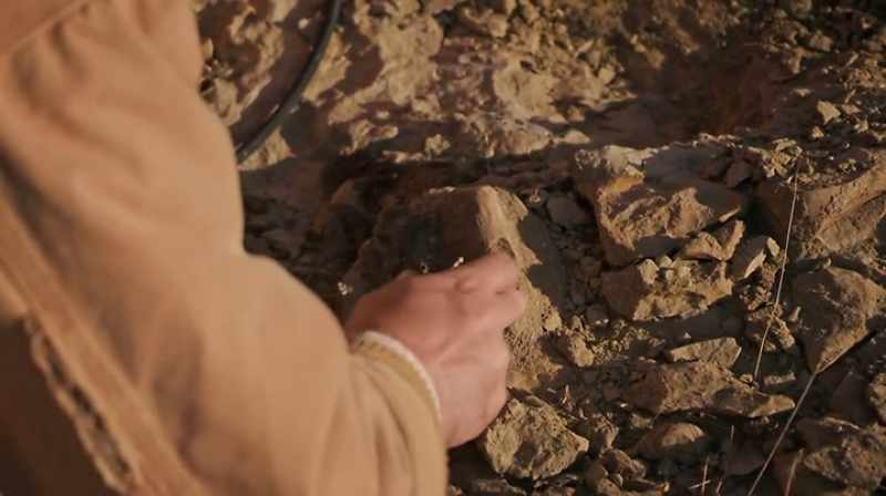 THAT'S HARDER THAN THE FRAGILE, FOSSILIZED SACRUM