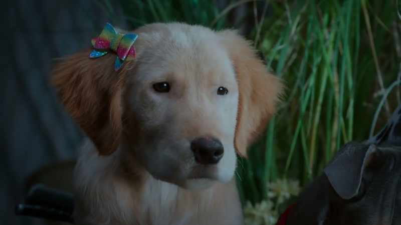 That's it. She's a goner