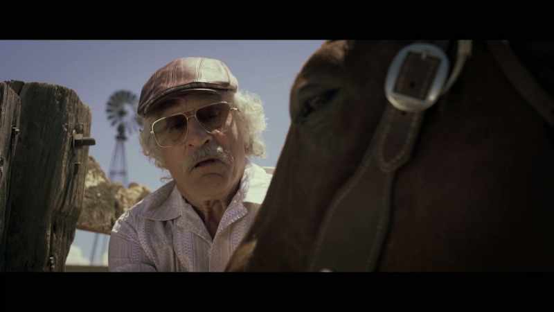 That's it. That's it. Good horsey