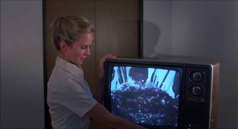 That's not a picture, it's an X-ray