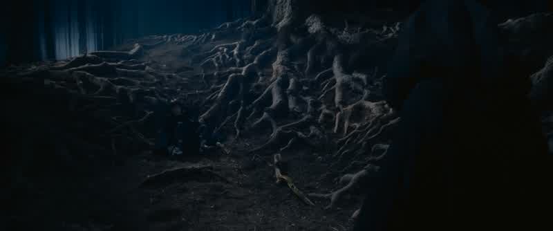 That's not just a dragon