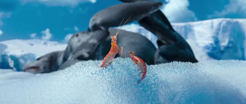 That's one small step for a krill