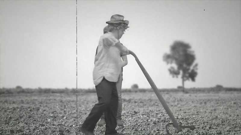 That's red kelly right there plowing a few acres
