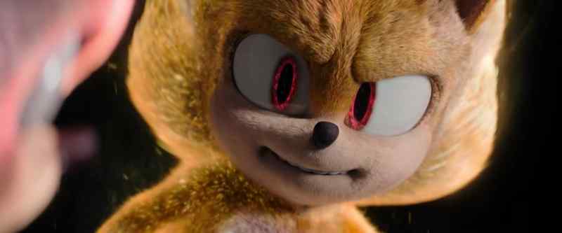 That's right, new hedgehog. And everyone loves it