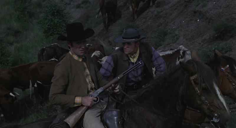 That's the cattle, all right