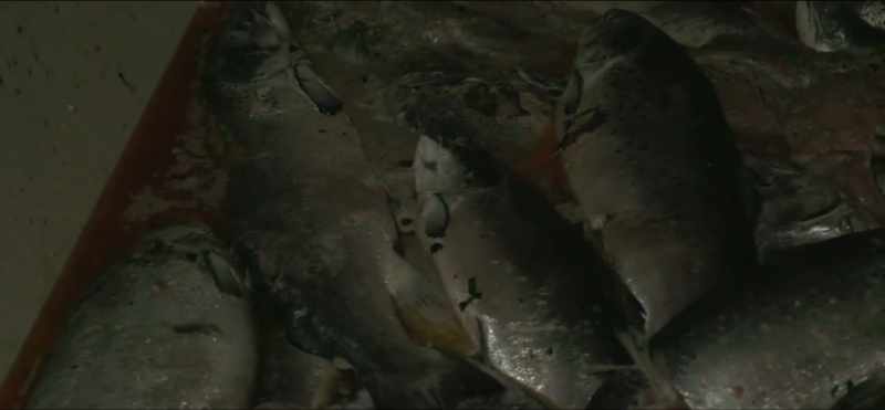 That's where the contaminants, the cancer-causing contaminants