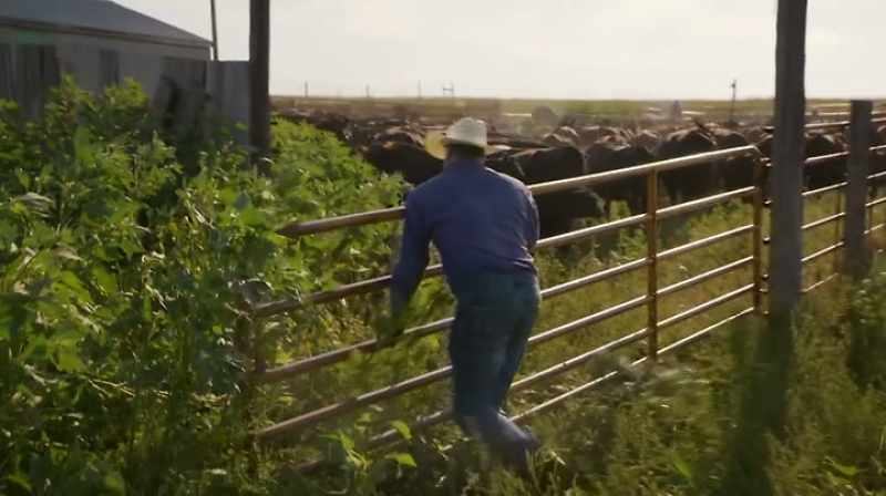 THAT'S THE INCOME THAT SUSTAINS THE RANCH