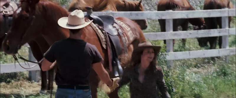 That's the wild horse