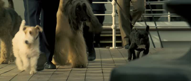 That's typicalFirst class dogs come down here to take a shiteLets us know where we rank in the scheme of thingsLike we could forget