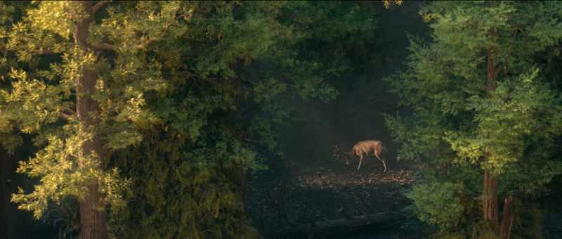That's weird. - Not really. Deer like leaves