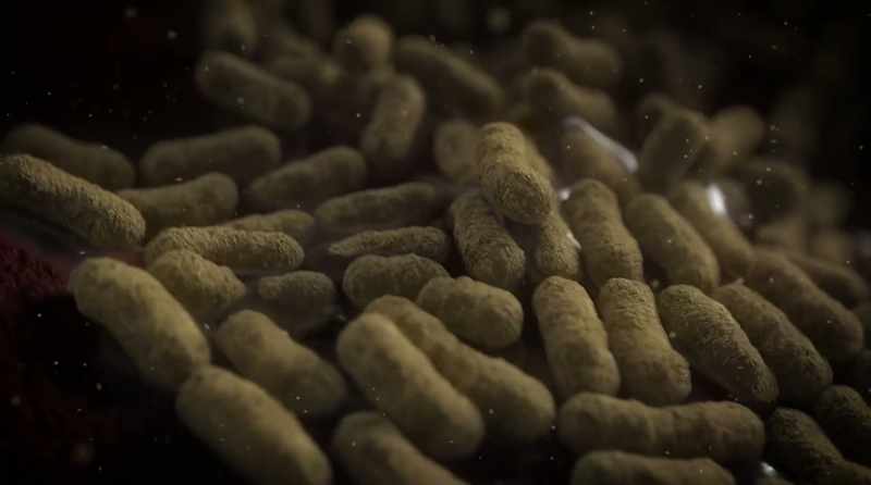 That's what makes antibiotics work