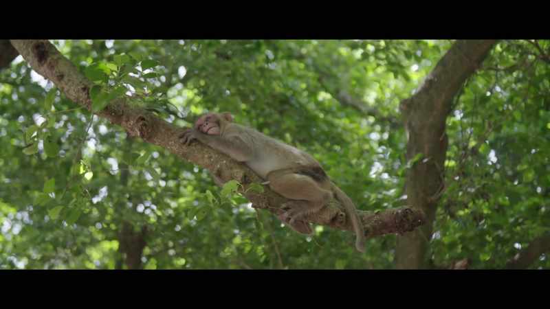 That's what we're trying to do with the brains we have