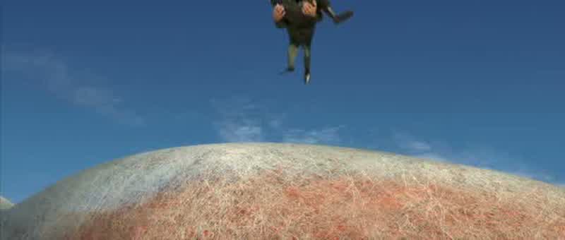 That's why I always wear a parachute, Lieutenant