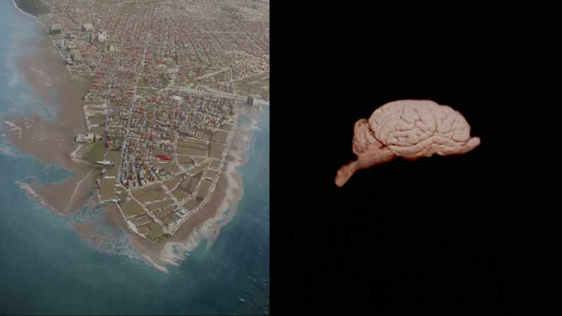 That's why our limbic system is surrounded by