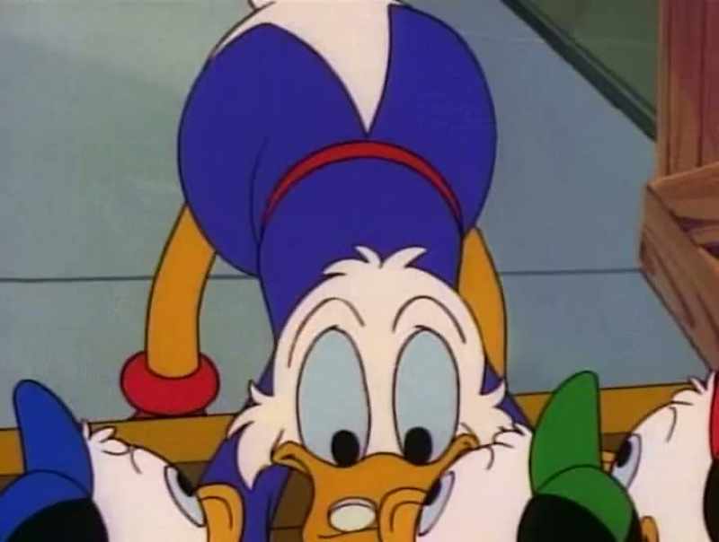The action cane, that black feather, those coordinates