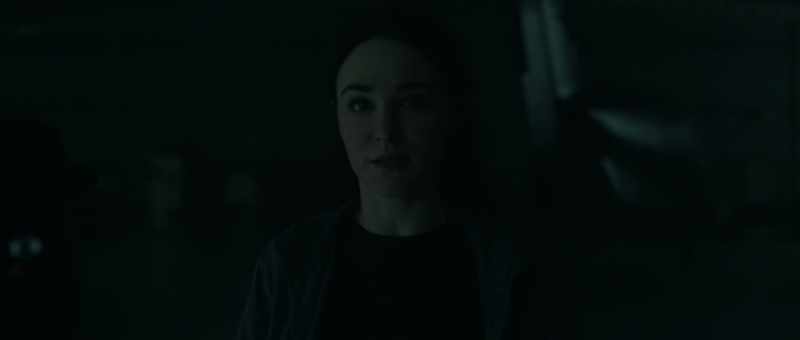 The admiral, your command, killed Lauren and Lucy?