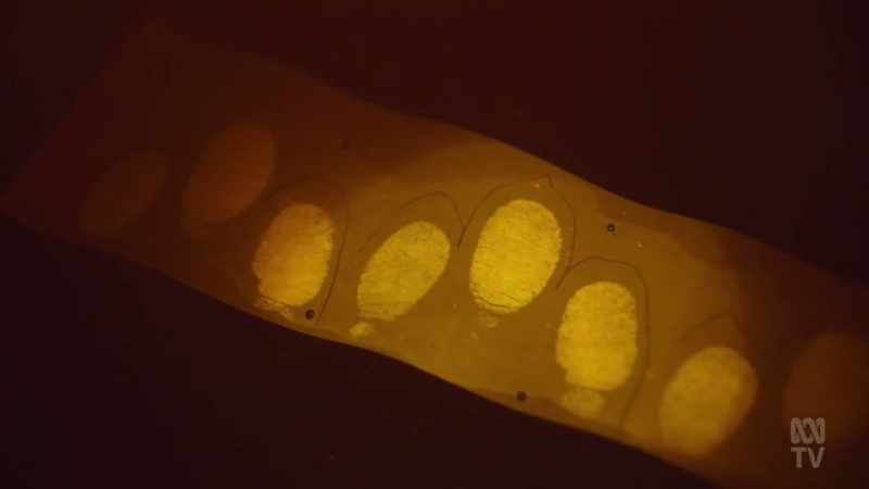 The age of light-based evidence detection had begun